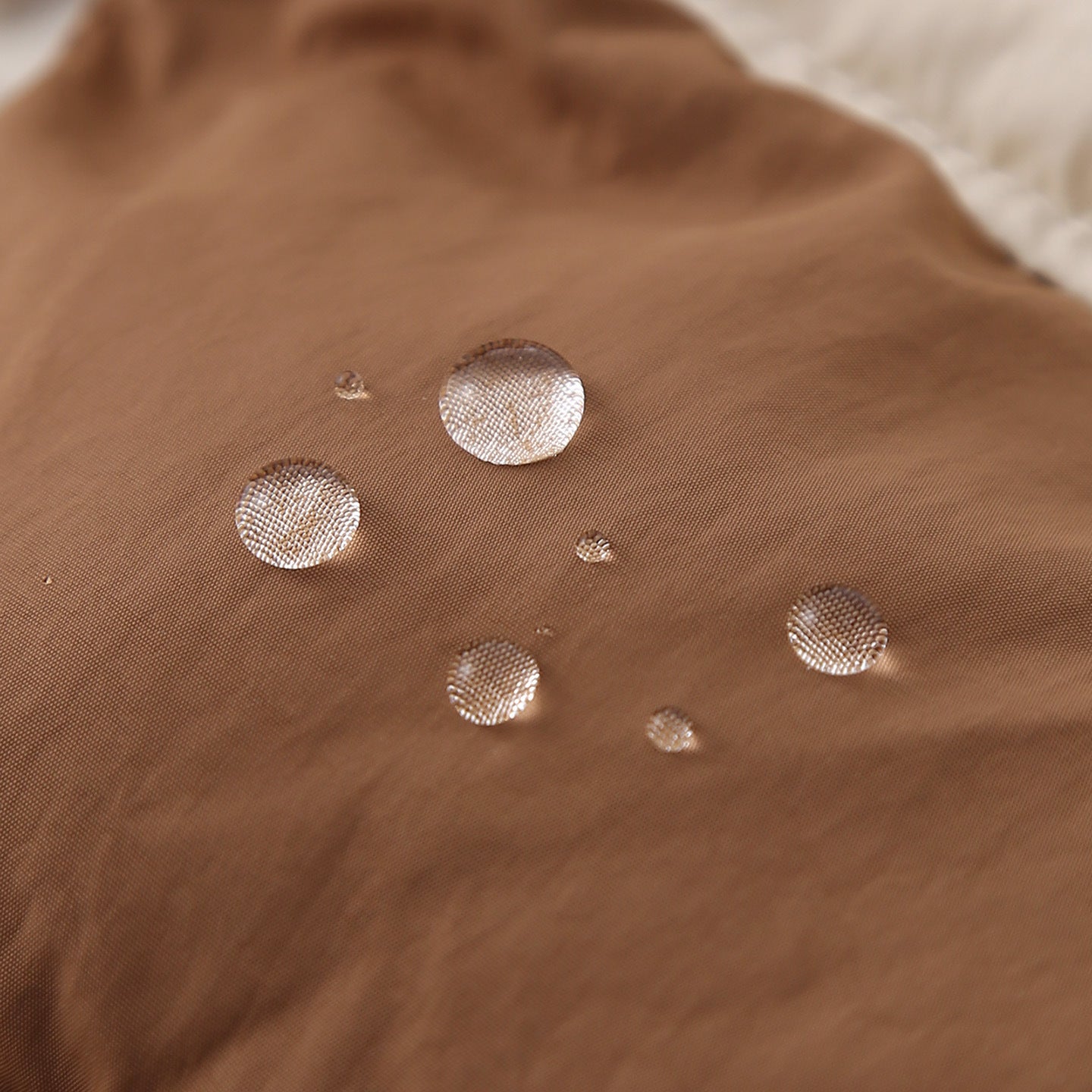 55e0796d-7b9d-4353-80f0-4e7290b90a8d